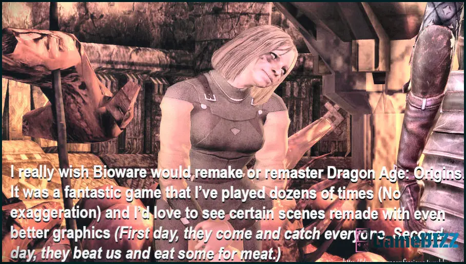 Dragon Age-Fans diskutieren darüber, was sie sich von einem Origins-Remake wünschen würden
