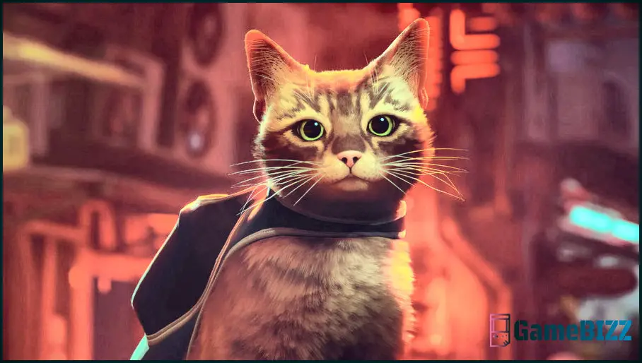 Exklusives Interview: Murtaugh, die Katze von Stray