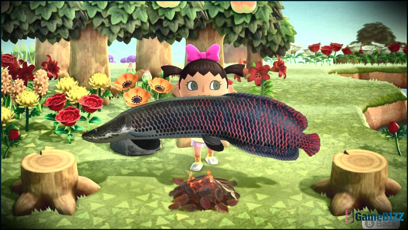 Animal Crossing: Der seltenste Fisch aller Zeiten