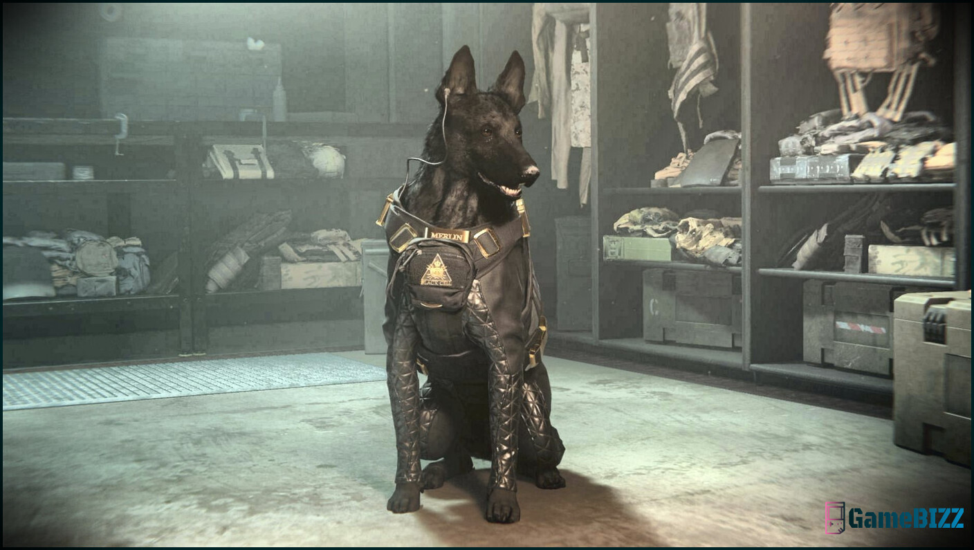 Call of Duty Warzone's Merlin The Dog Add-On wird beschuldigt, Pay-To-Win zu sein