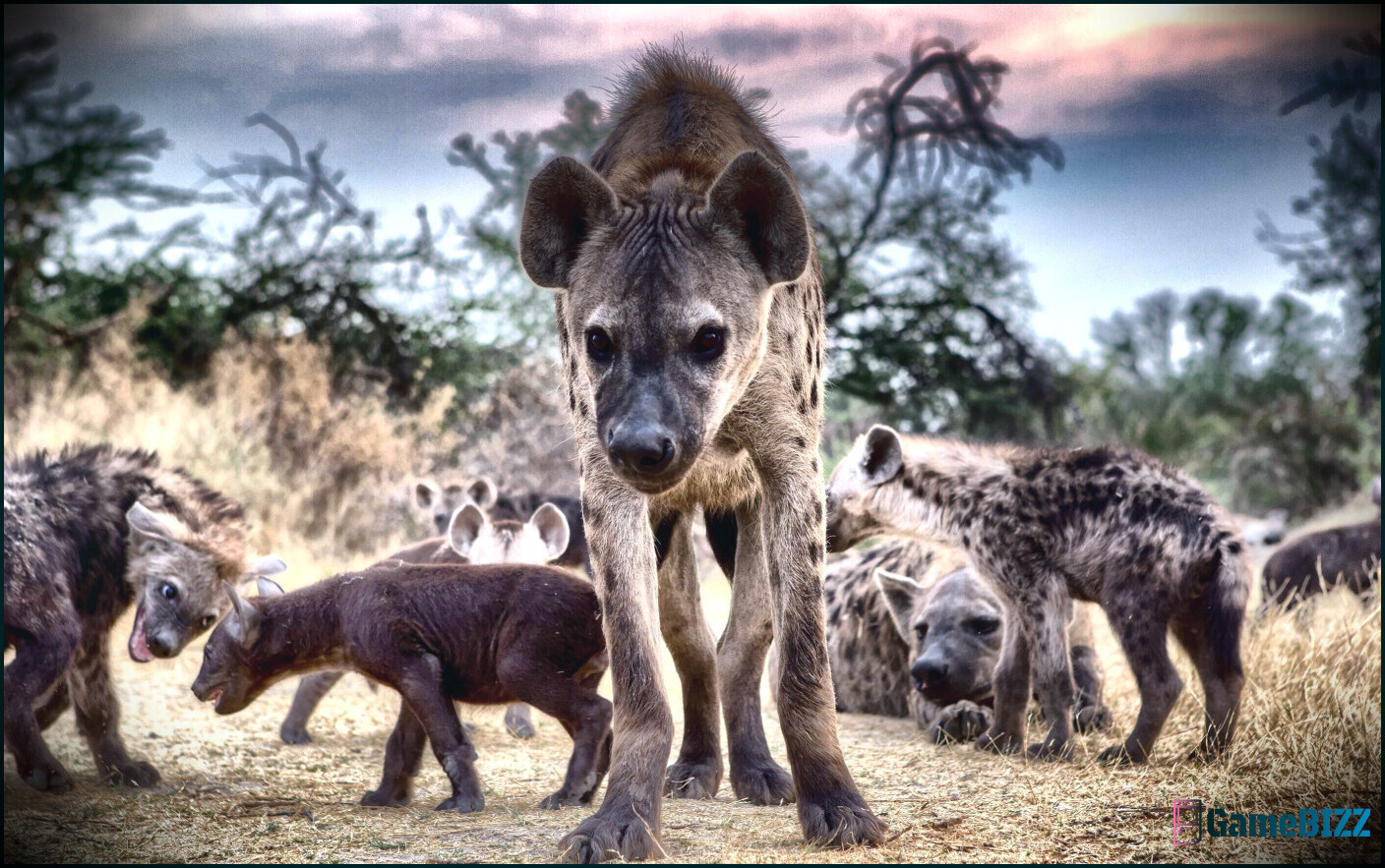 Die Absage von Hyenas muss ein Weckruf für die Industrie sein