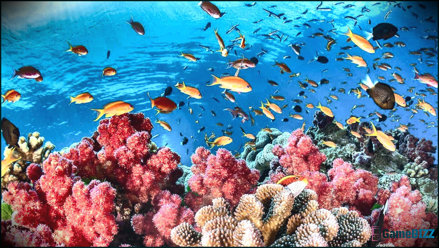 Coral Island's Casual Body Diversity ist es wert, gefeiert zu werden